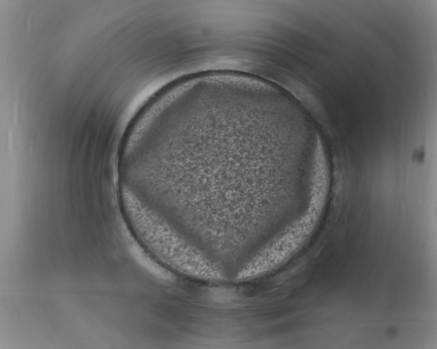 X0000110940792200907022132