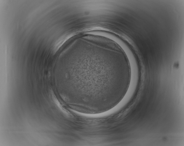 X0000110940793200907022132