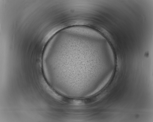 X0000110940794200907022132