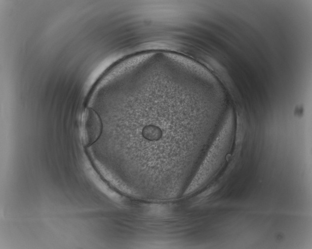 X0000110940796200907022132