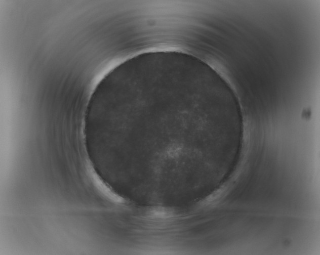 X0000110940797200907022132