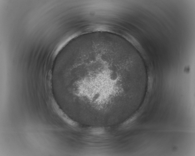 X0000110940798200907022132