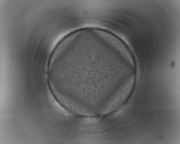 X0000110940799200907022132