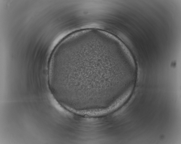 X0000110940800200907022132