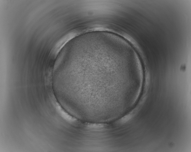 X0000110940801200907022132