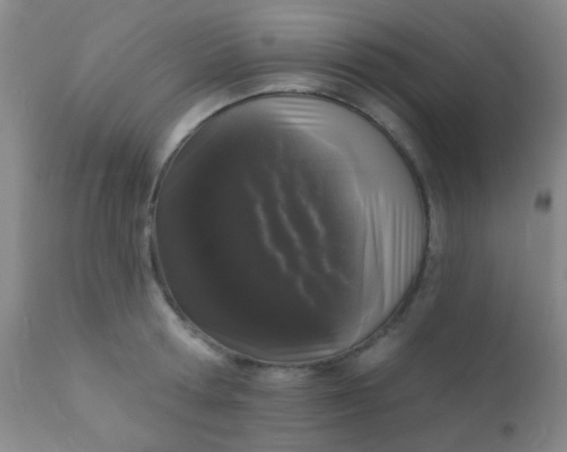 X0000110940802200907022132