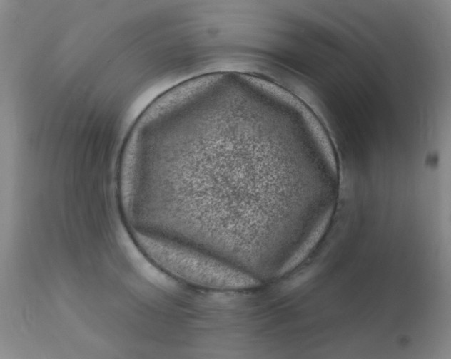 X0000110940803200907022132