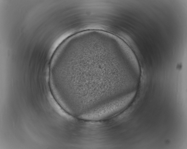 X0000110940804200907022132