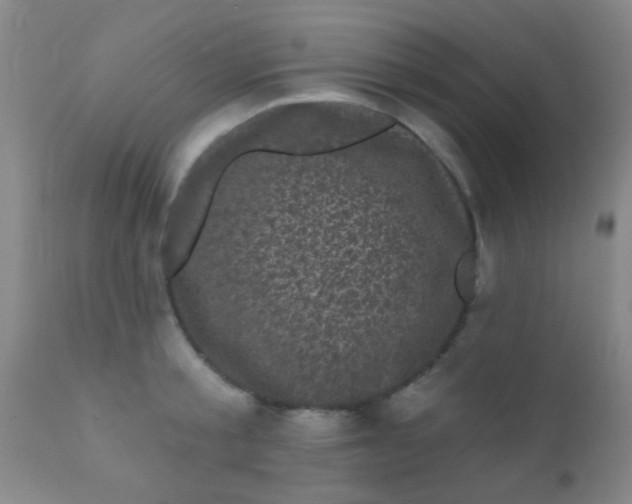 X0000110940805200907022132