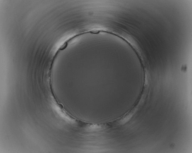 X0000110940806200907022132