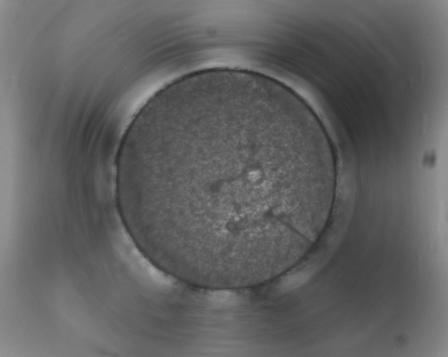 X0000110940807200907022132