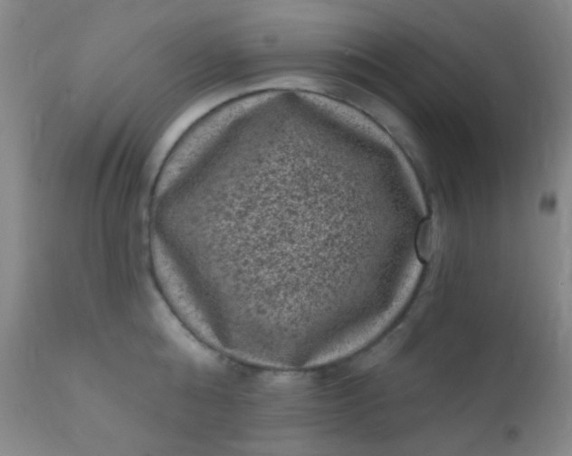 X0000110940808200907022132