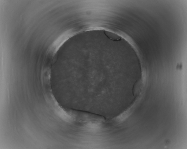 X0000110940809200907022132