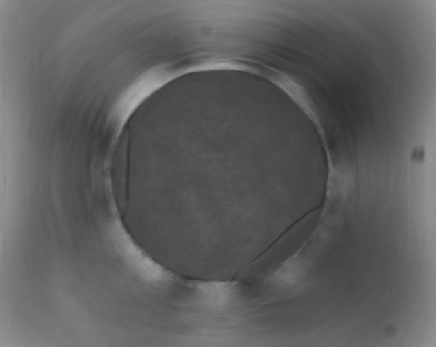 X0000110940813200907022131