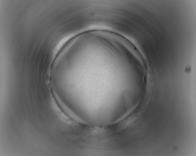 X0000110940815200907022131