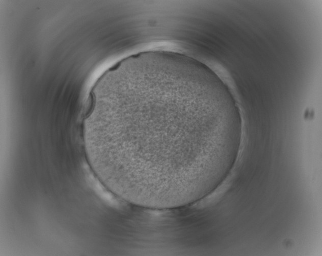 X0000110940816200907022131