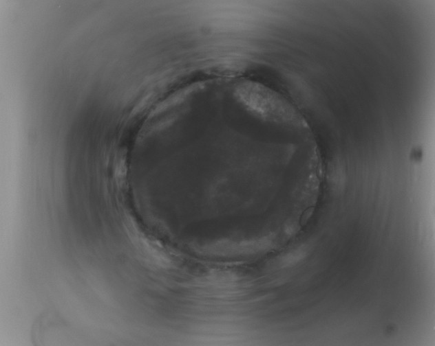 X0000110940818200907022131