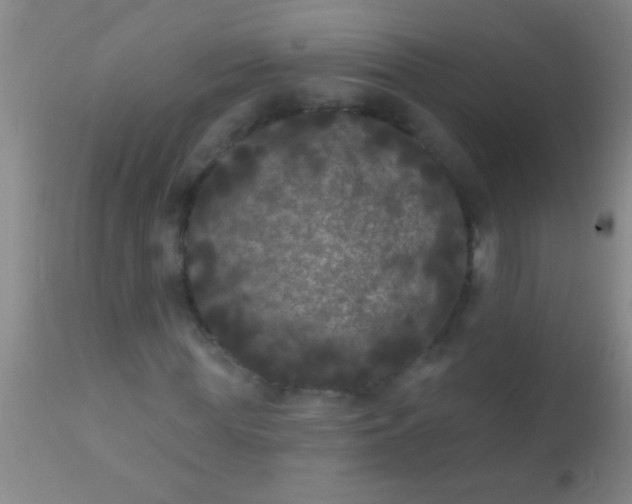 X0000110940819200907022131