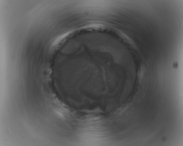 X0000110940822200907022131