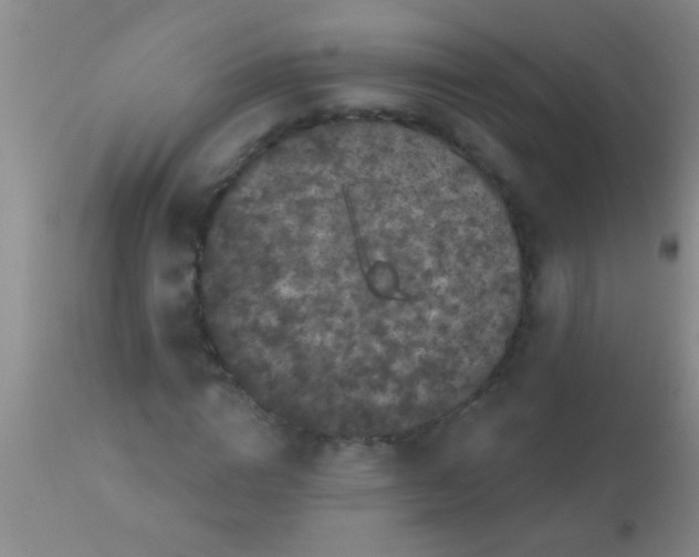 X0000110940824200907022131