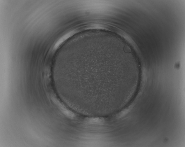 X0000110940826200907022131