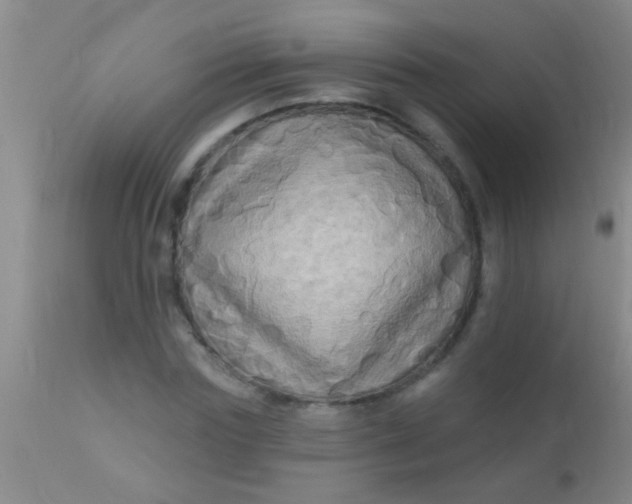 X0000110940827200907022131