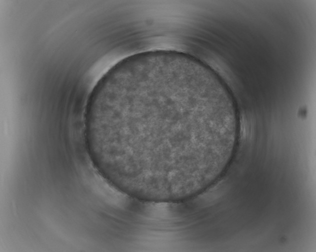 X0000110940828200907022131