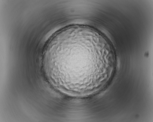 X0000110940829200907022131