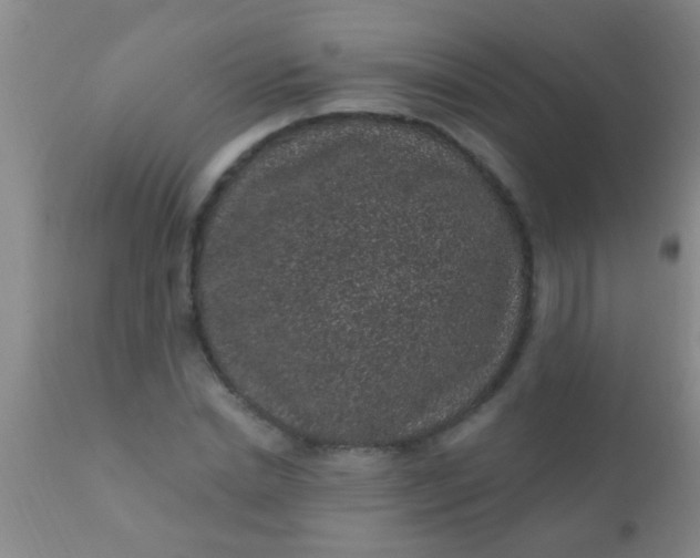 X0000110940830200907022131