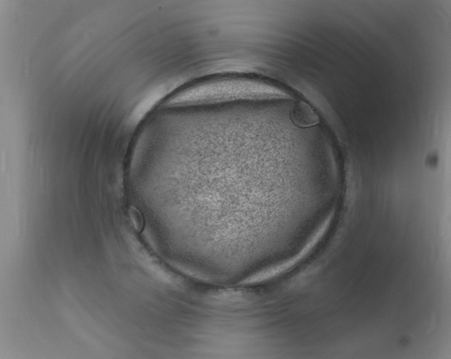 X0000110940834200907022131