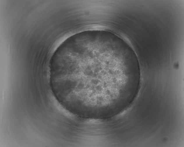 X0000110940835200907022131