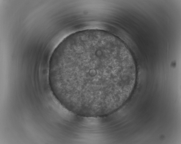 X0000110940836200907022131