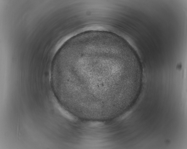 X0000110940837200907022131