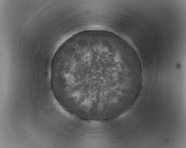 X0000110940839200907022131