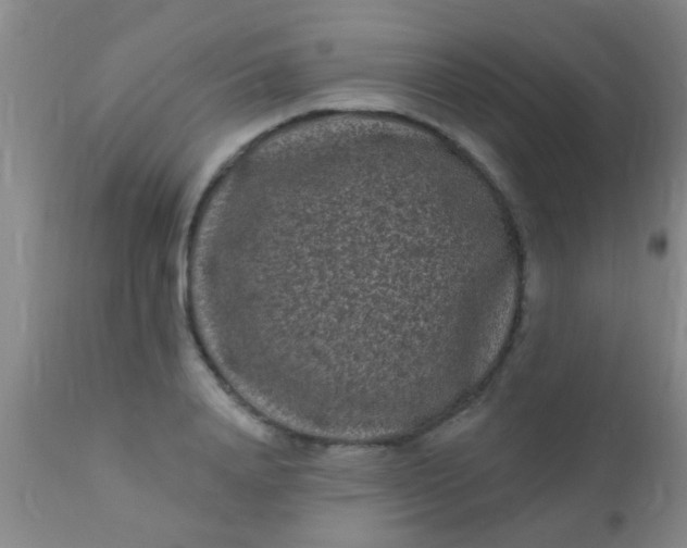 X0000110940840200907022131