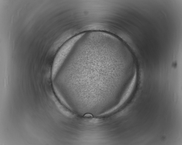 X0000110940841200907022131