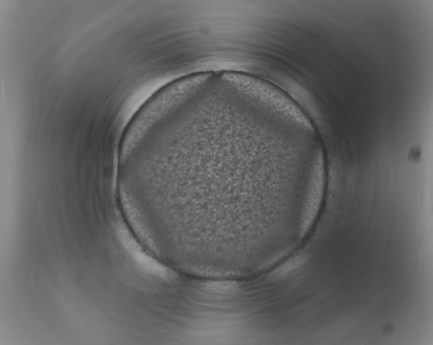 X0000110940844200907022131