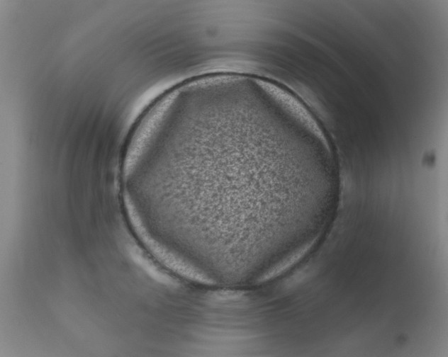 X0000110940846200907022131