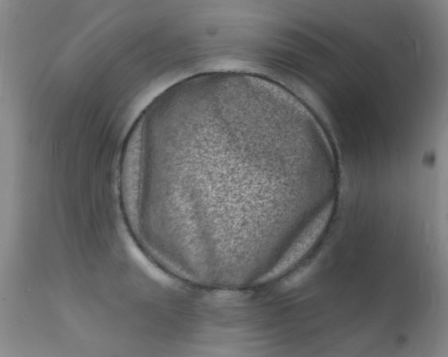 X0000110940847200907022131