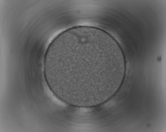 X0000110940848200907022131