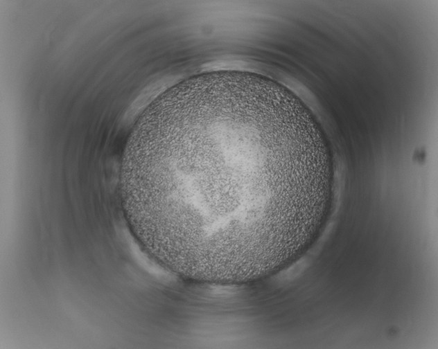 X0000110940849200907022131