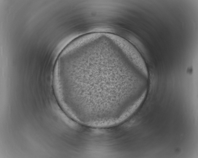 X0000110940852200907022131