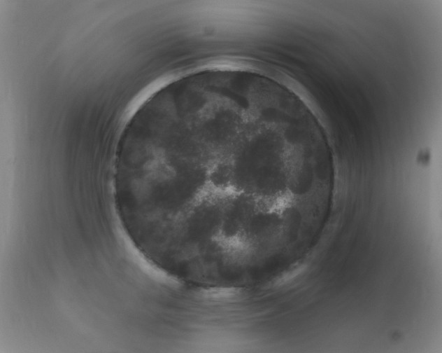 X0000110940853200907022131