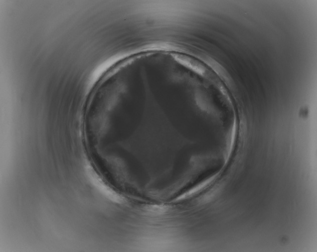 X0000110940854200907022131