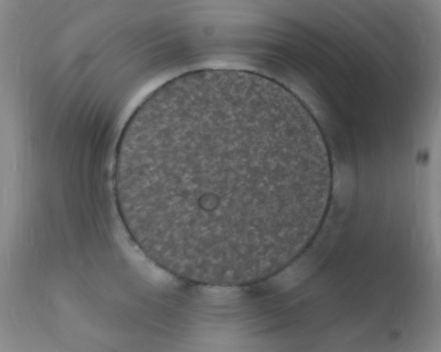 X0000110940856200907022131