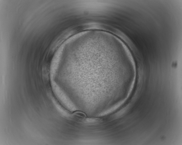 X0000110940857200907022131