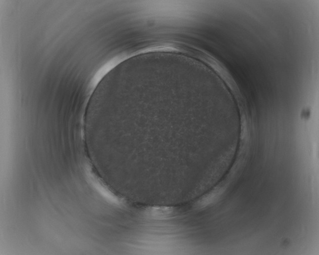 X0000110940858200907022131