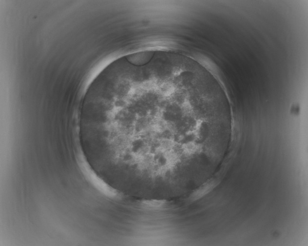 X0000110940859200907022131