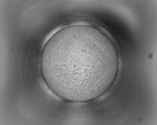 X0000110940860200907022131