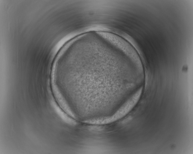 X0000110940861200907022131